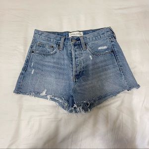 Aritzia Denim Forum Ex-Boyfriend Shorts